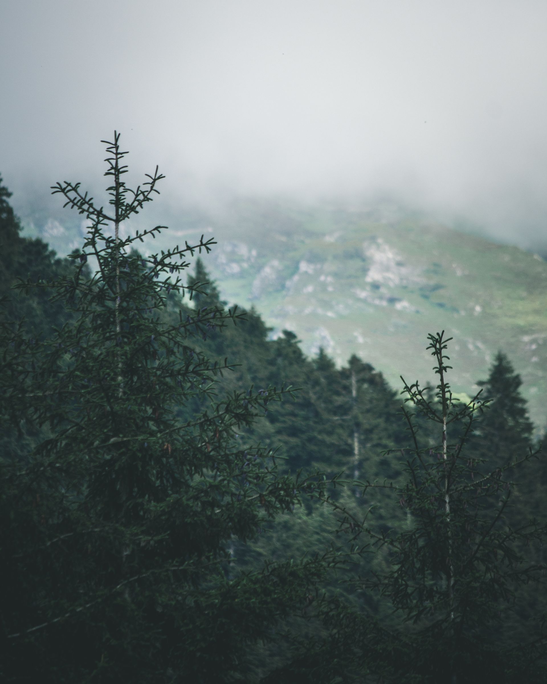 Uttarakhand